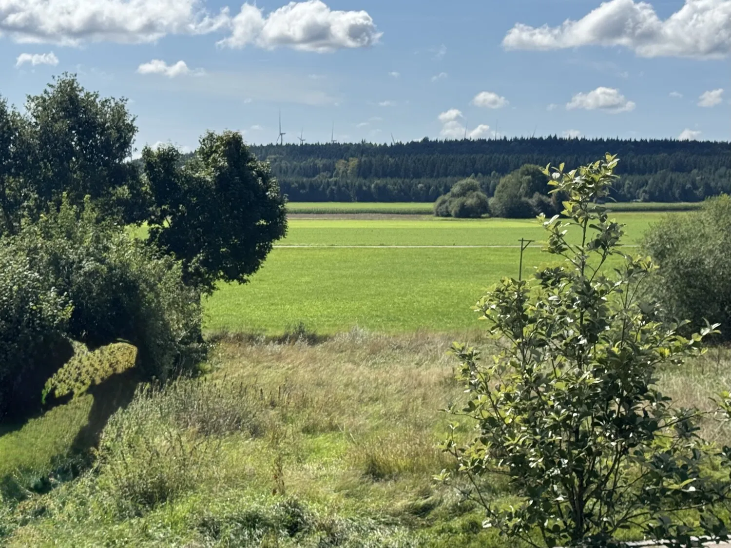 Blick ins Grüne von der Dachterrasse aus