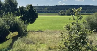 von_poll_real_estate_property_25151038_image_7