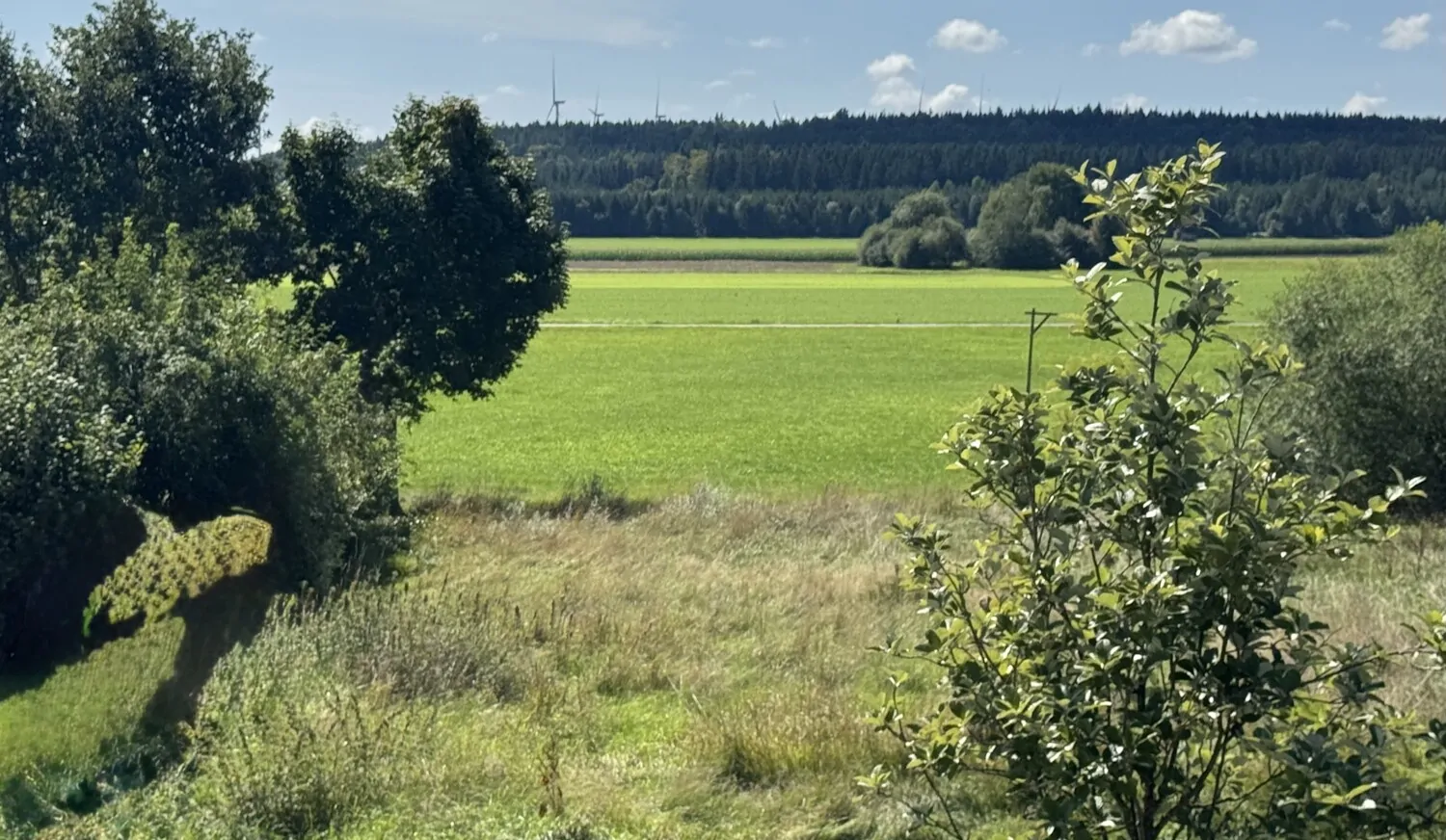 Blick ins Grüne von der Dachterrasse aus