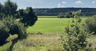 von_poll_real_estate_property_25151038_image_7