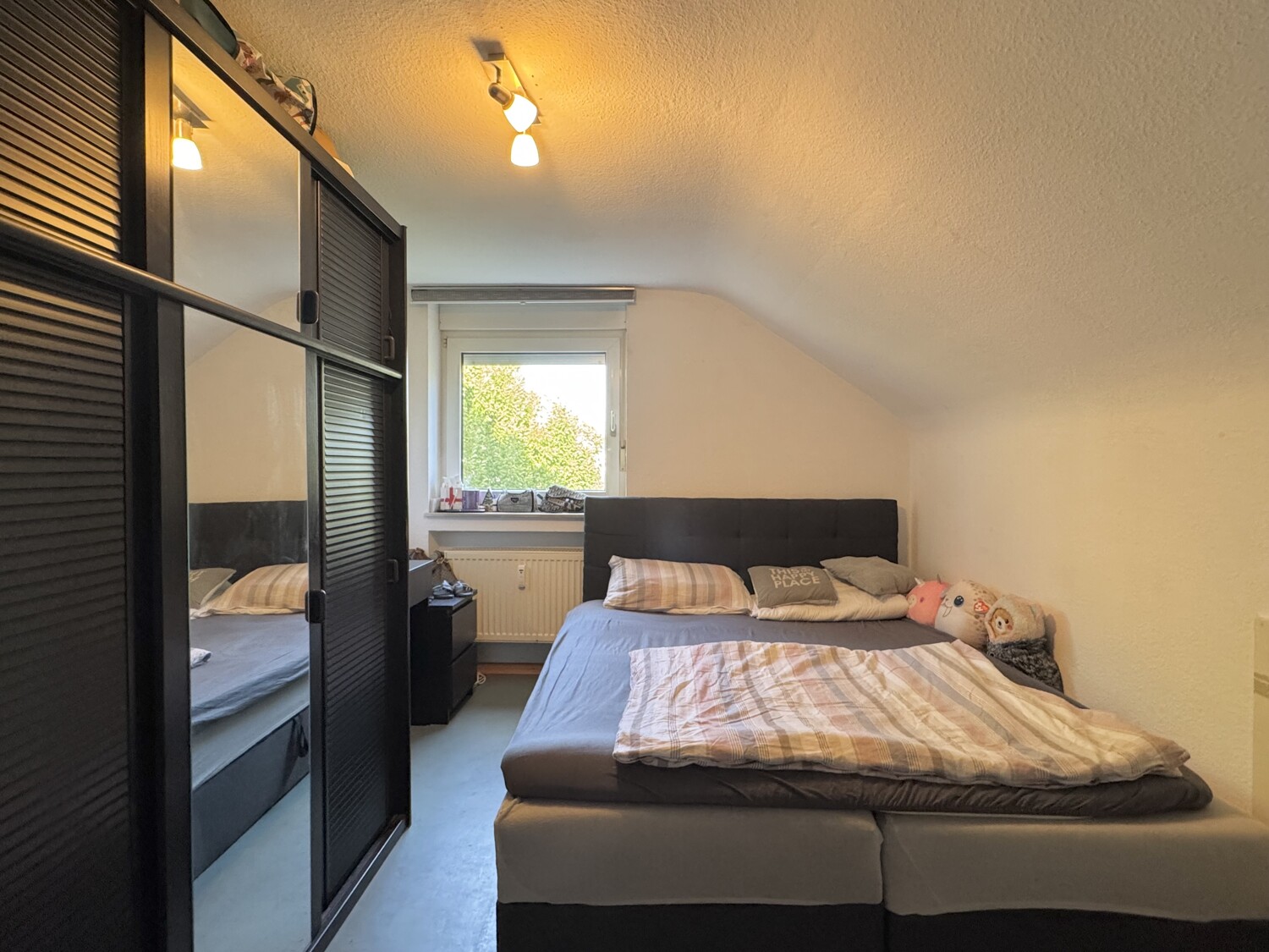 Zimmer DG