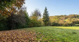 von_poll_real_estate_property_25151026_image_32