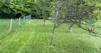 von_poll_real_estate_property_25151034_image_26