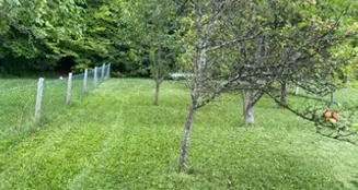 von_poll_real_estate_property_25151034_image_26