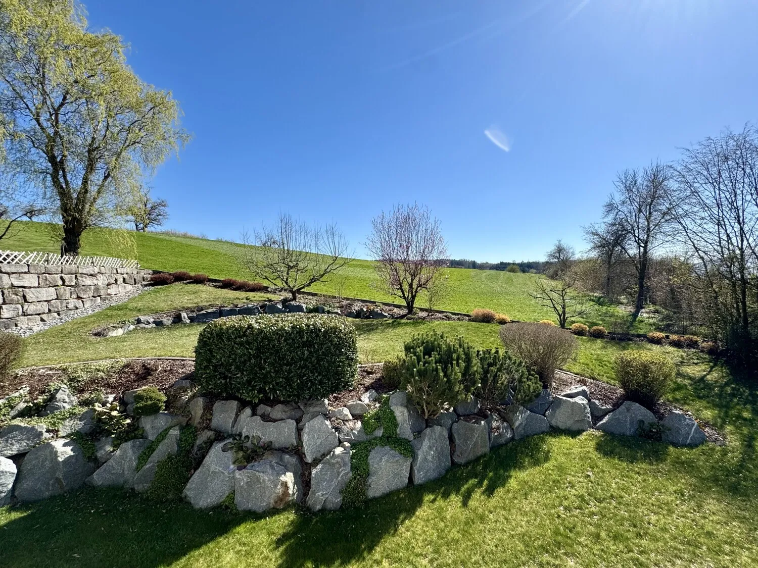 Blick in Garten