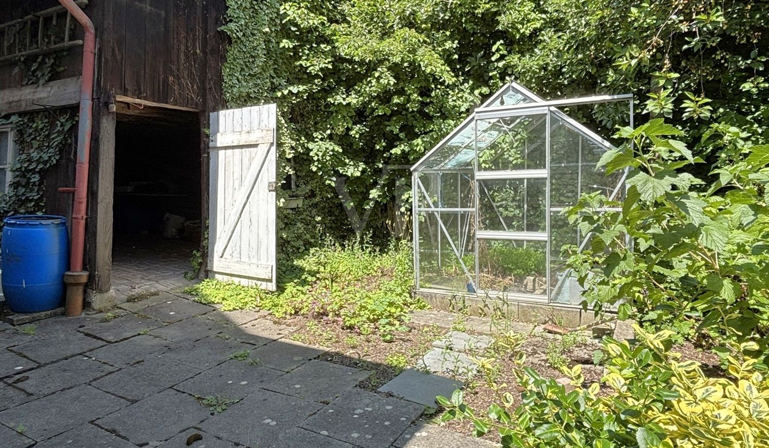 Garten 1