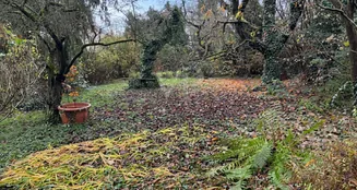 von_poll_real_estate_property_25152030_image_15