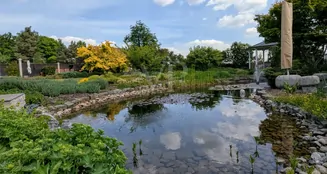 von_poll_real_estate_property_25317017_image_5