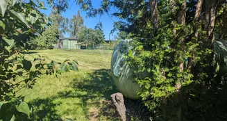 von_poll_real_estate_property_25317029_image_6