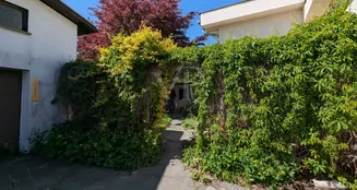 von_poll_real_estate_property_25317015_image_4