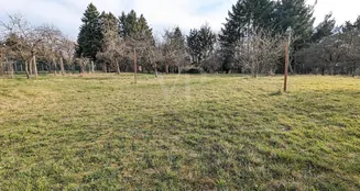 von_poll_real_estate_property_25317002_image_5