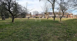 von_poll_real_estate_property_25317002_image_2