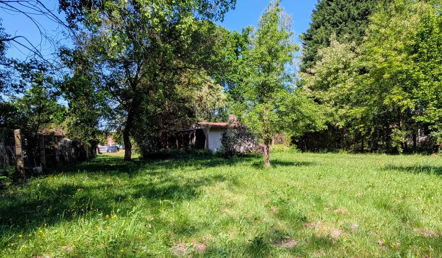 GRUNDSTÜCK MIT ALTBESTAND VORDERER BEREICH