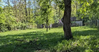 von_poll_real_estate_property_25317021_image_0