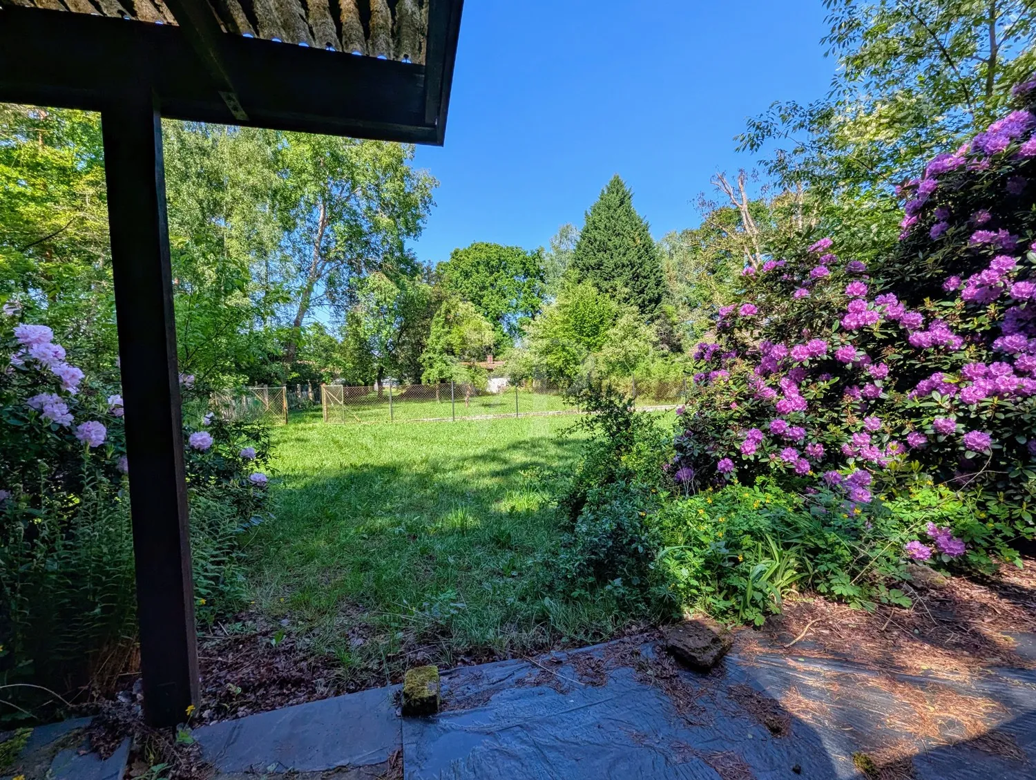 BLICK IN DAS GRUNDSTÜCK