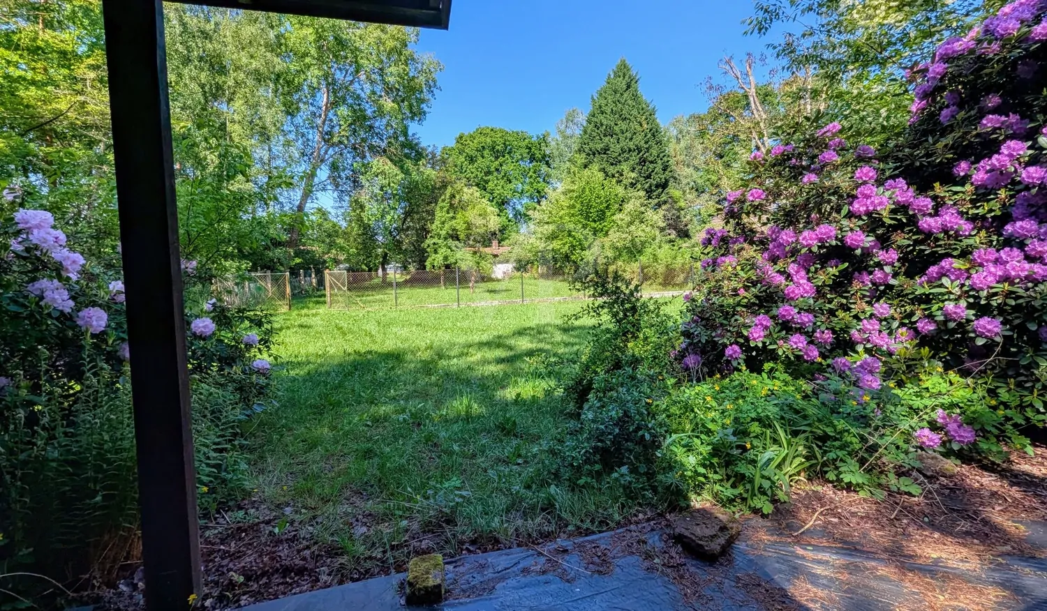 BLICK IN DAS GRUNDSTÜCK