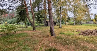 von_poll_real_estate_property_25317024_image_19