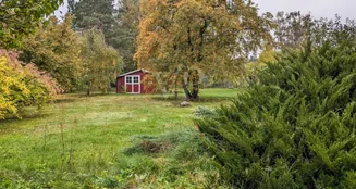 von_poll_real_estate_property_25317024_image_2