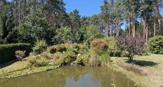 von_poll_real_estate_property_25317023_image_18