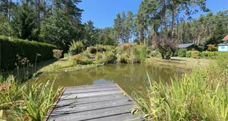 von_poll_real_estate_property_25317023_image_7