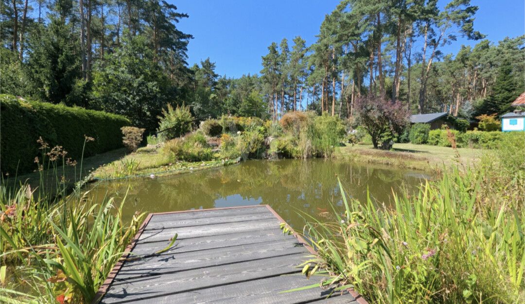 TEICH MIT STEG