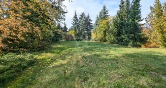 von_poll_real_estate_property_25317036_image_3