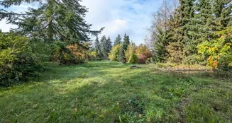 von_poll_real_estate_property_25317036_image_5