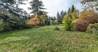 von_poll_real_estate_property_25317036_image_8