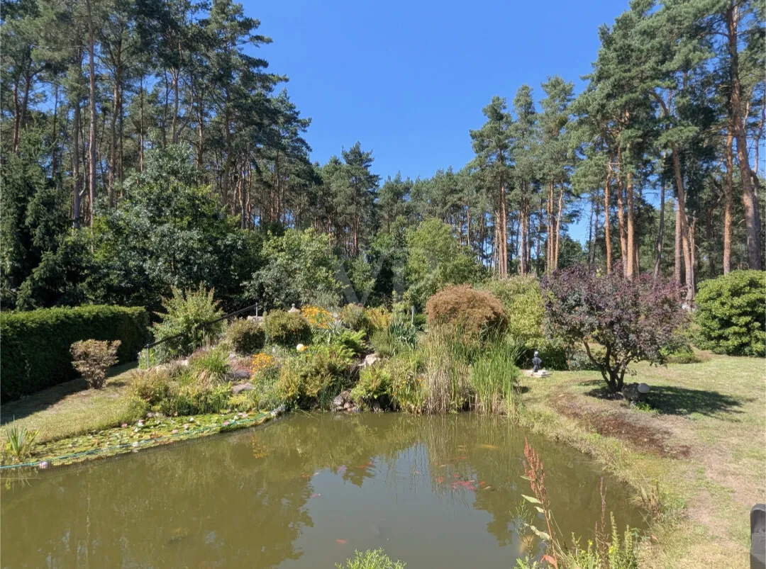 BLICK VON DER TERRASSE