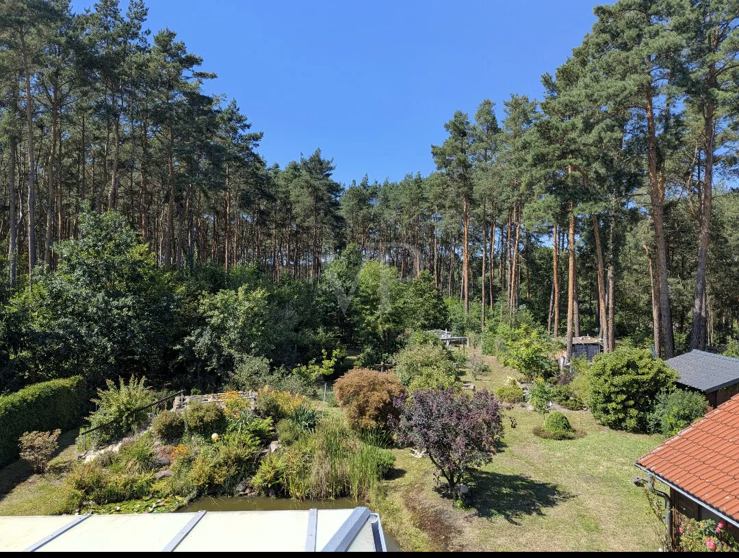 BLICK AUS DER KÜCHE DG