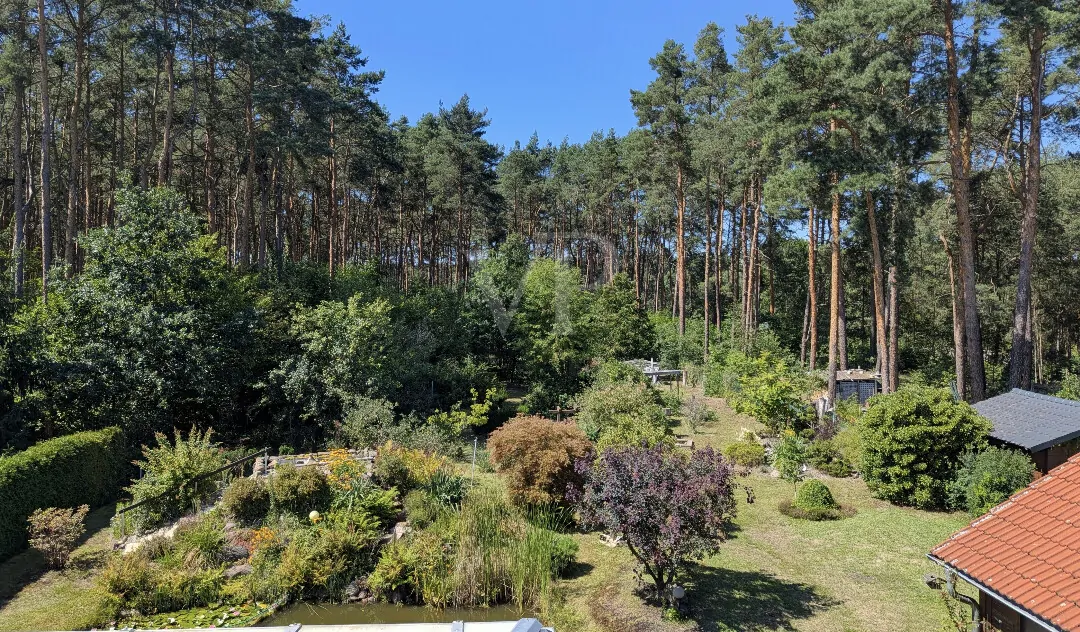 BLICK AUS DER KÜCHE DG