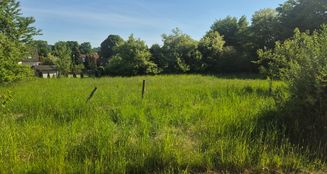 von_poll_real_estate_property_25336018_image_1