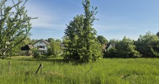 von_poll_real_estate_property_25336019_image_0