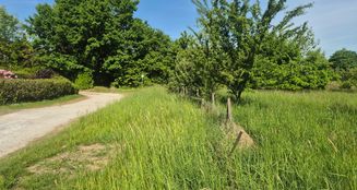von_poll_real_estate_property_25336019_image_3