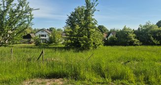 von_poll_real_estate_property_25336019_image_1