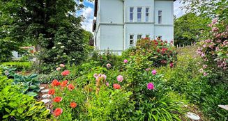 von_poll_real_estate_property_25336025_image_17