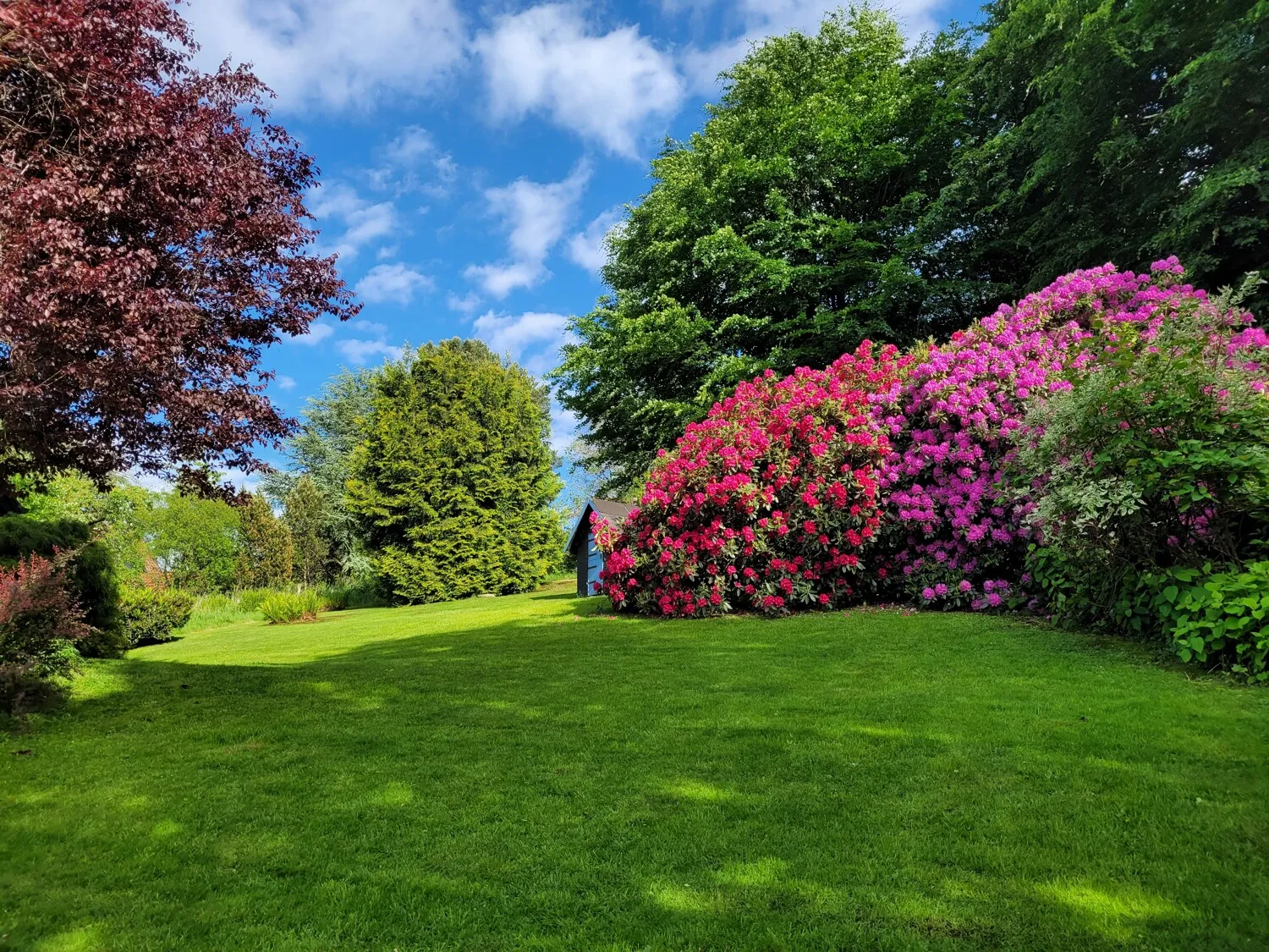 Garten