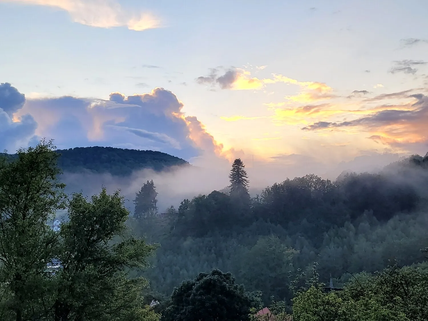 Aussicht