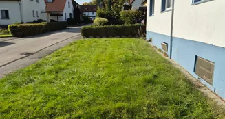 von_poll_real_estate_property_25336046_image_12