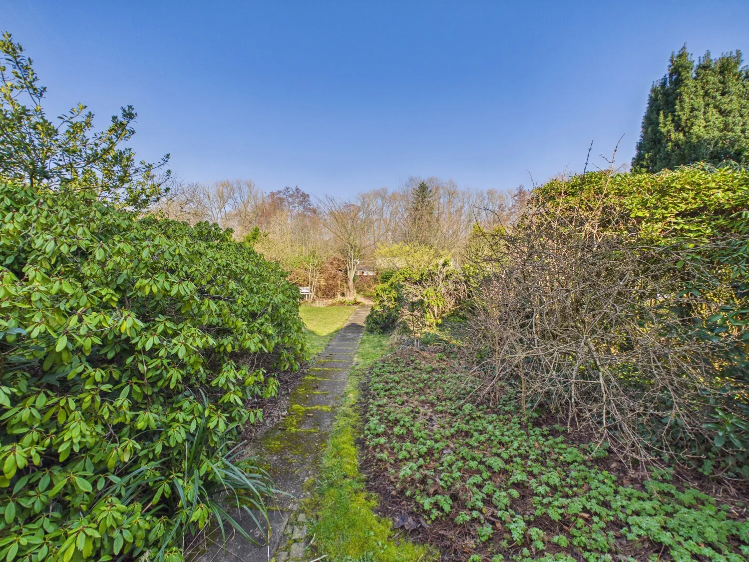Garten