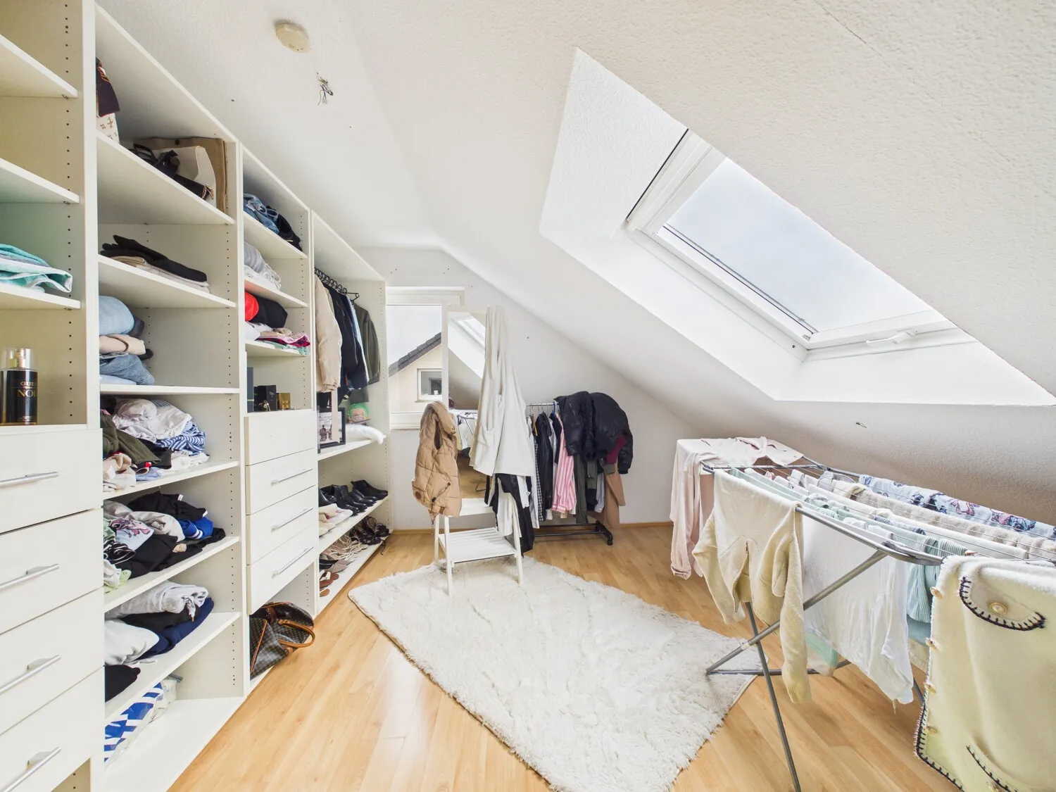 Zimmer DG