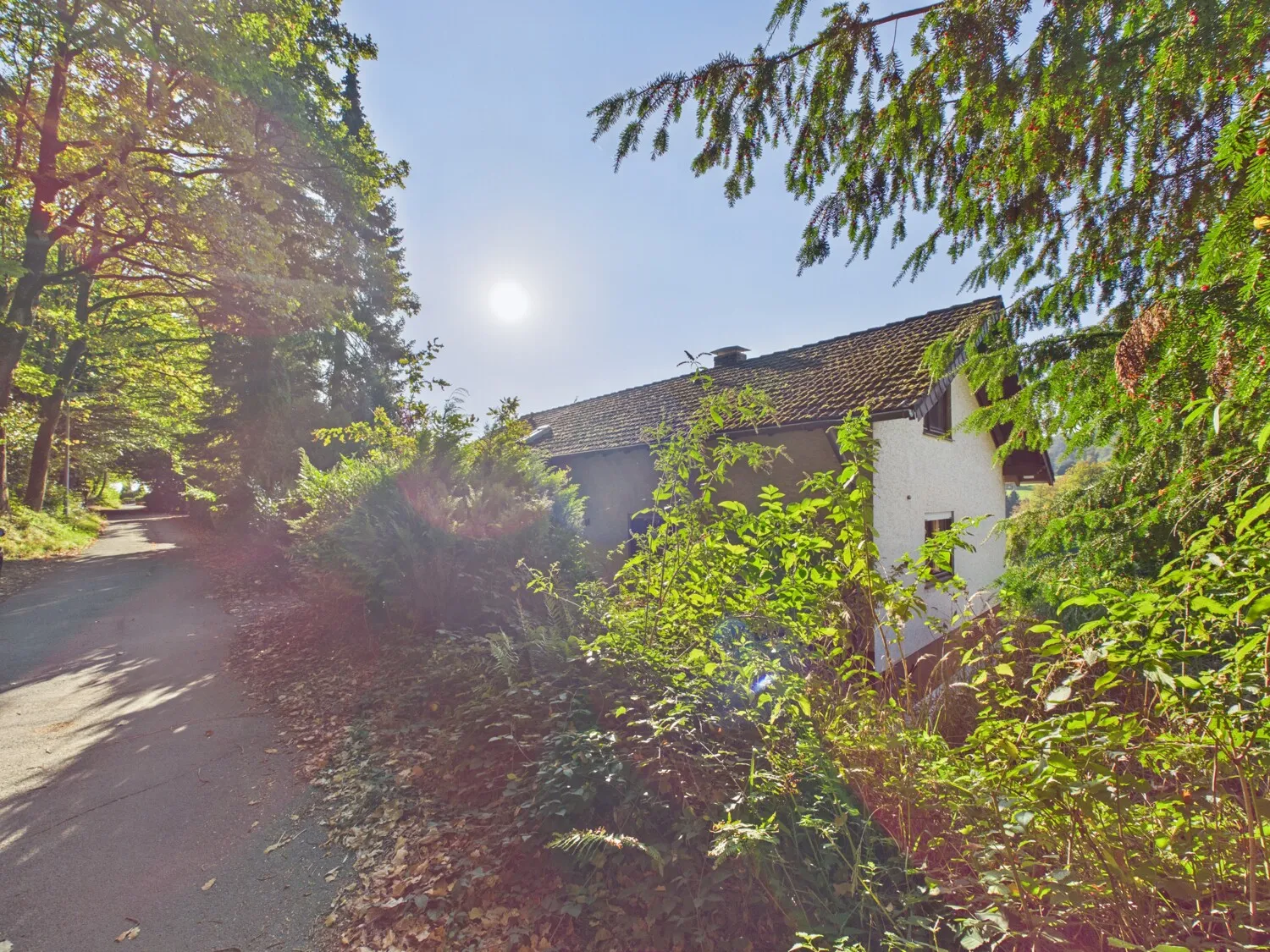 Ihr Projekt mit Aussicht: Einfamilienhaus in Detmold-Berlebeck