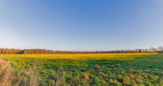 von_poll_real_estate_property_25389020_image_18