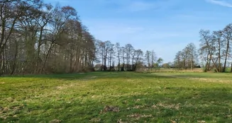 von_poll_real_estate_property_24389013-1_image_3