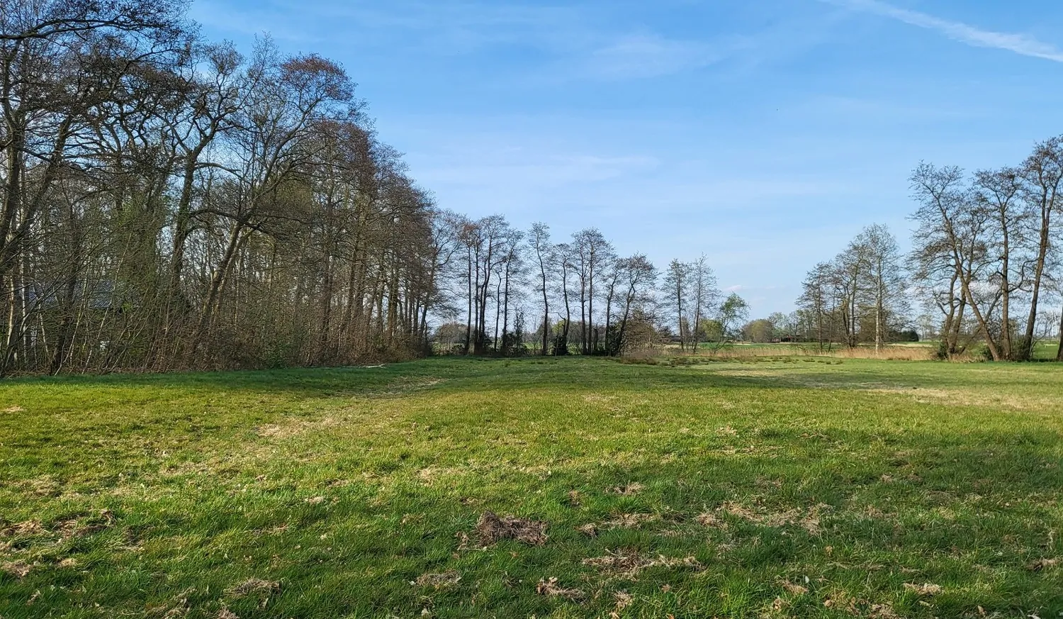 Blick über die Wiesen