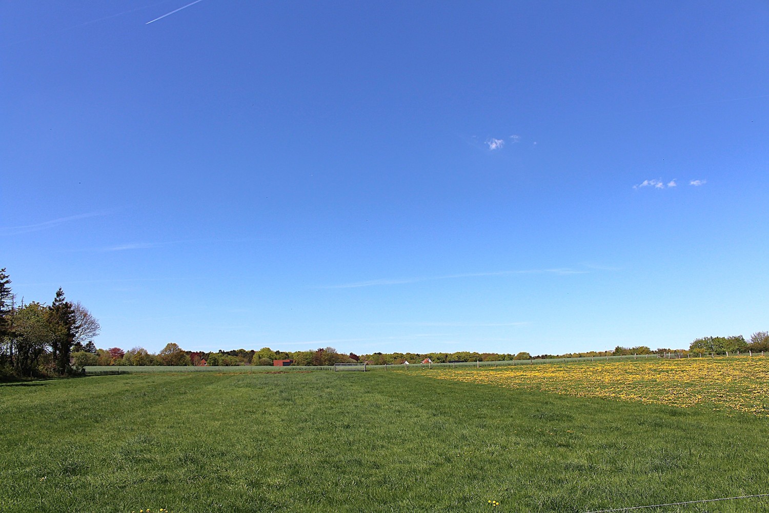 Blick vom Grundstück I