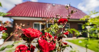 von_poll_real_estate_property_25389008_image_2