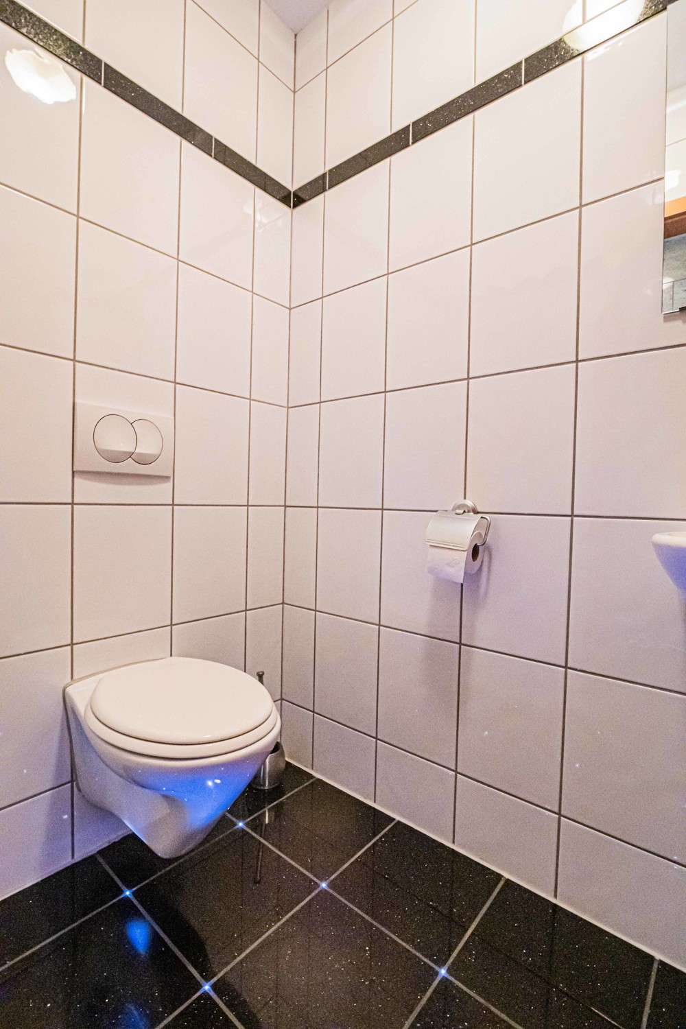 Damen-WC
