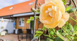 von_poll_real_estate_property_25389017_image_0