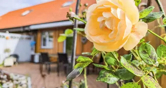 von_poll_real_estate_property_25389017_image_1